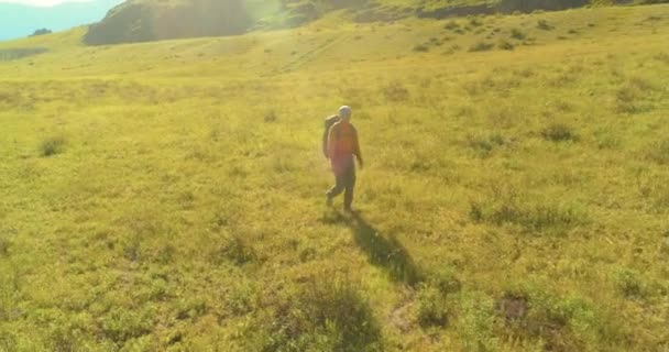 Vol au-dessus du sac à dos randonnée touristique marche à travers le champ de montagne vert. Vallée rurale énorme au jour d'été. — Video