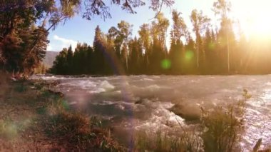 Dağ nehri kıyısındaki çayır. Yeşil çimlerle, çam ağaçlarıyla ve güneş ışınlarıyla kaplı bir manzara. Motorlu kaydırma kulesinde hareket.