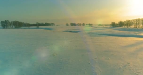 Veduta aerea del freddo paesaggio del campo artico, alberi con neve gelata, fiume ghiaccio e raggi solari all'orizzonte. Clima estremo a bassa temperatura. — Video Stock