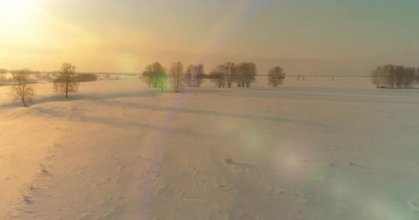 Vista aérea da paisagem fria do campo ártico, árvores com neve de geada, rio de gelo e raios de sol ao longo do horizonte. Tempo extremo de baixa temperatura. — Vídeo de Stock