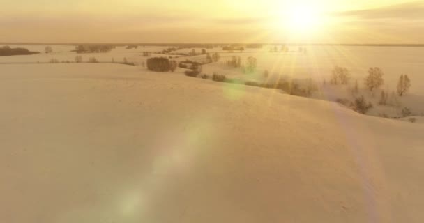 Letecký pohled na studenou arktickou krajinu, stromy s mrazivým sněhem, ledovou řekou a slunečními paprsky nad obzorem. Extrémní nízké teploty počasí. — Stock video