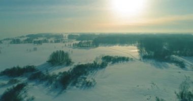 Soğuk kış manzarası kutup bölgesi, karla kaplı ağaçlar, ufukta buz nehri ve güneş ışınları. Aşırı düşük sıcaklık havası.