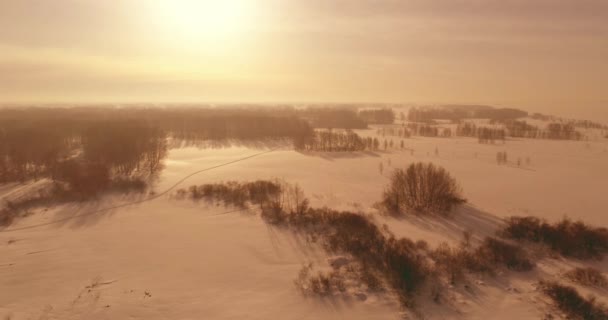 Luchtfoto van het koude winterlandschap van het poolgebied, bomen bedekt met vorst sneeuw, ijsrivier en zonnestralen over de horizon. Extreem lage temperatuur weer. — Stockvideo