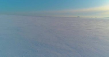 Soğuk kış manzarası kutup bölgesi, karla kaplı ağaçlar, ufukta buz nehri ve güneş ışınları. Aşırı düşük sıcaklık havası.