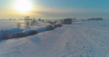 Soğuk kış manzarası kutup bölgesi, karla kaplı ağaçlar, ufukta buz nehri ve güneş ışınları. Aşırı düşük sıcaklık havası.