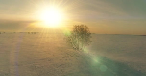 Luchtfoto van het koude winterlandschap van het poolgebied, bomen bedekt met vorst sneeuw, ijsrivier en zonnestralen over de horizon. Extreem lage temperatuur weer. — Stockvideo