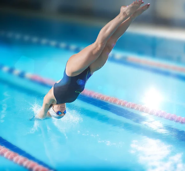 Female swimmer jumping into swimming pool. — Stock Photo, Image