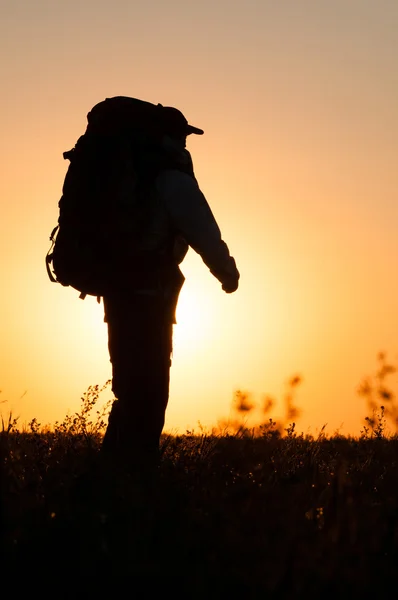 Wanderer mit Rucksack im Feld — Stockfoto