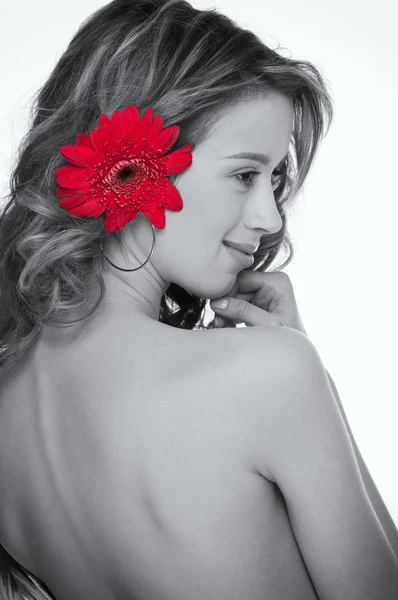Красива дівчина з червоною квіточкою айстра — стокове фото