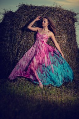 Akşam alanında haystack üzerinde duran kadın.