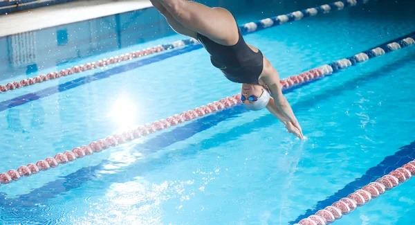 Schwimmer springt ins Schwimmbad. — Stockfoto