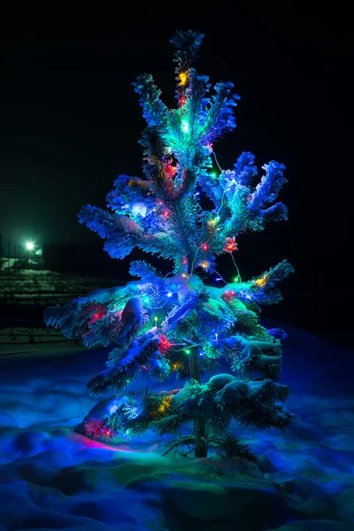 Julgran omfattas snö. — Stockfoto