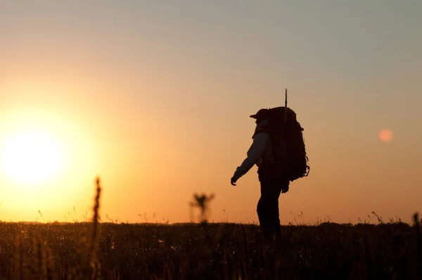 Hiker with backpack walking in the field — Stock Photo, Image