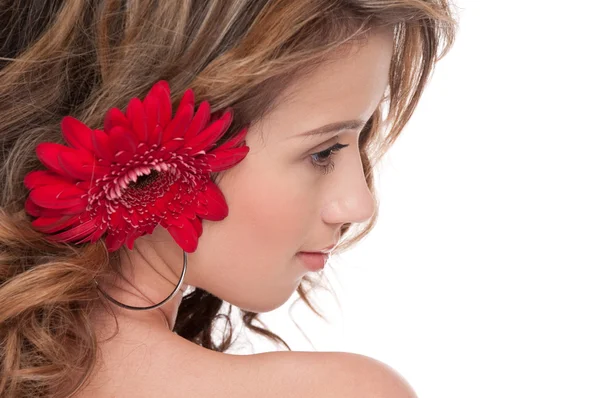Menina com flor aster vermelho — Fotografia de Stock