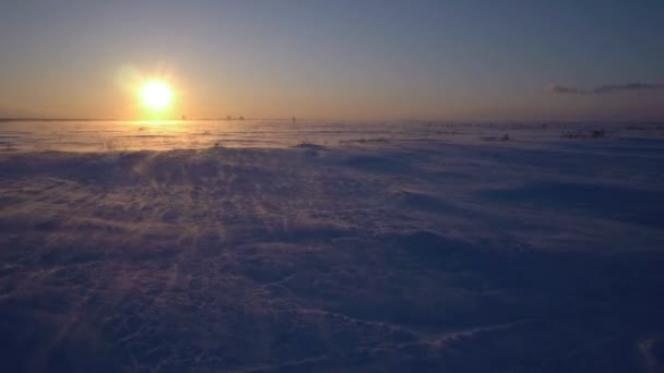 Snowstorm in the arctic. Frozen snow drifts. — Stock Video