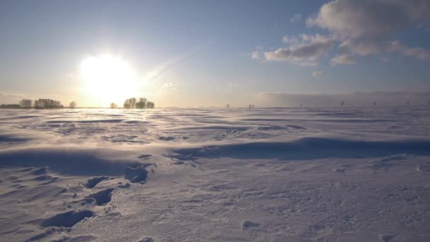 Tempestade de neve no Ártico. Derivados de neve congelados . — Vídeo de Stock