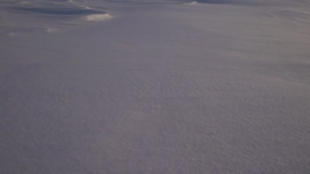 Tempête de neige dans l'Arctique. Dérives de neige gelée .