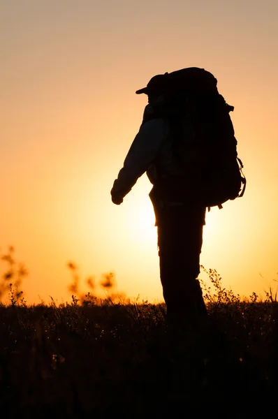 Wanderer mit Rucksack im Feld unterwegs — Stockfoto