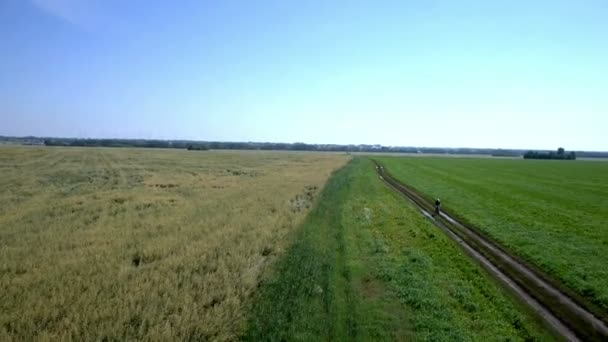 Muž na kole na venkovské cestě. Letecký pohled. — Stock video