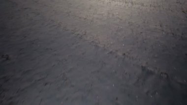 Kar kış parkta. Karlı alan ve mavi gökyüzü.
