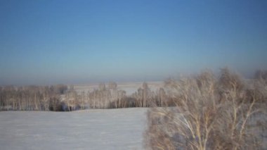 Kar kış kırsal Park ağaçlarıyla