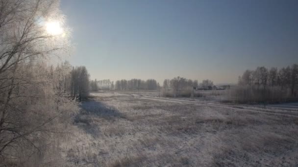 Drzewa z śniegu w winter park wiejski — Wideo stockowe