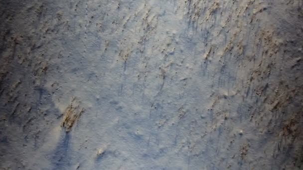 Parque de invierno en la nieve. Campo nevado y cielo azul . — Vídeos de Stock