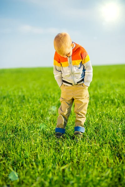 Porträt eines fröhlichen, schönen kleinen Jungen im Freien auf dem Land. Leitkonzept. — Stockfoto