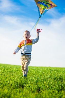 Genç çocuk onun uçurtma yeşil alan ile oynarken. 