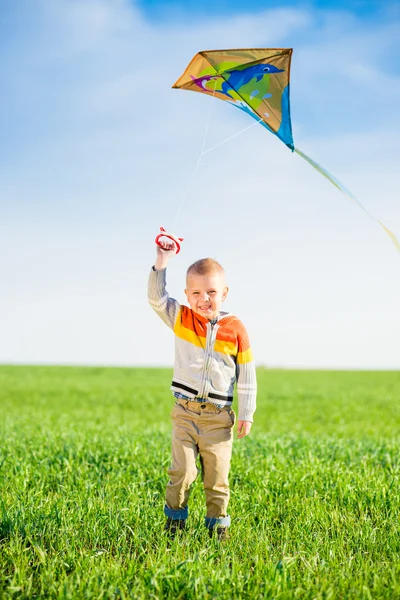 年轻男孩玩耍着他的风筝在绿色的原野. — 图库照片