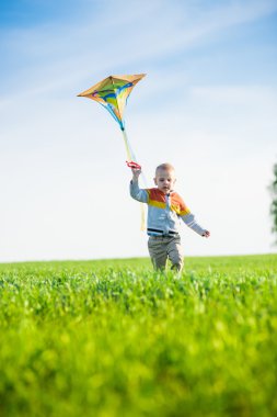Genç çocuk onun uçurtma yeşil alan ile oynarken.