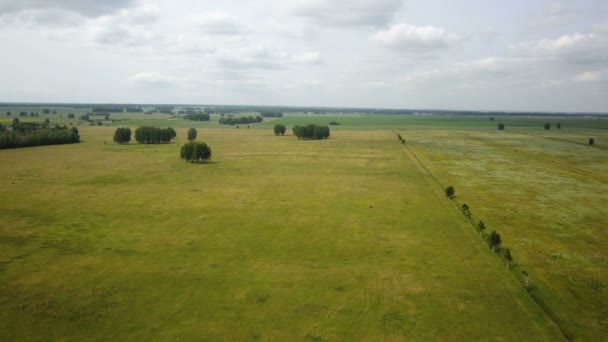 AERIAL: Vuelo sobre el campo de trigo día de otoño. Despegue. — Vídeos de Stock