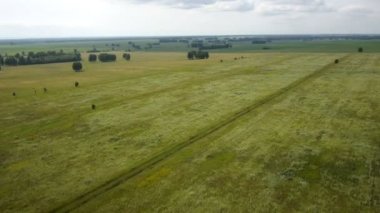 Kırsal yolda araba hava atış