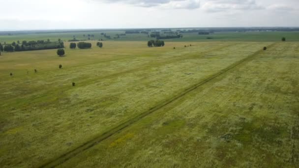 Plano aéreo del coche en la carretera rural — Vídeos de Stock