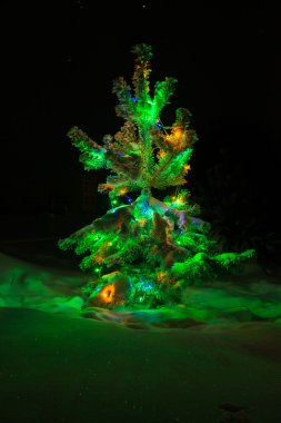 doğal bir Noel ağacı ışıkları parlayan kar kaplı.