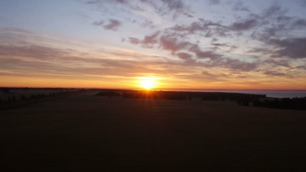 Hava: Güneş doğru buğday alanından yükselen — Stok video