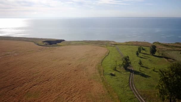 Aérien : Champ jaune de blé, mer bleue. Matin d'été .