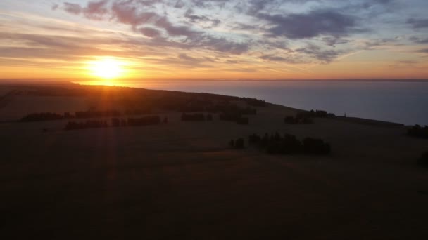 AERIAL: Levantamiento del campo de trigo hacia el sol — Vídeo de stock