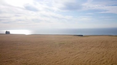 Hava: Buğday, mavi deniz sarı alan. Yaz sabahı.
