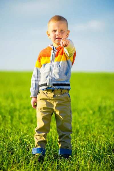 Et portrett av en glad, vakker liten gutt på landet. Punktmetode . – stockfoto