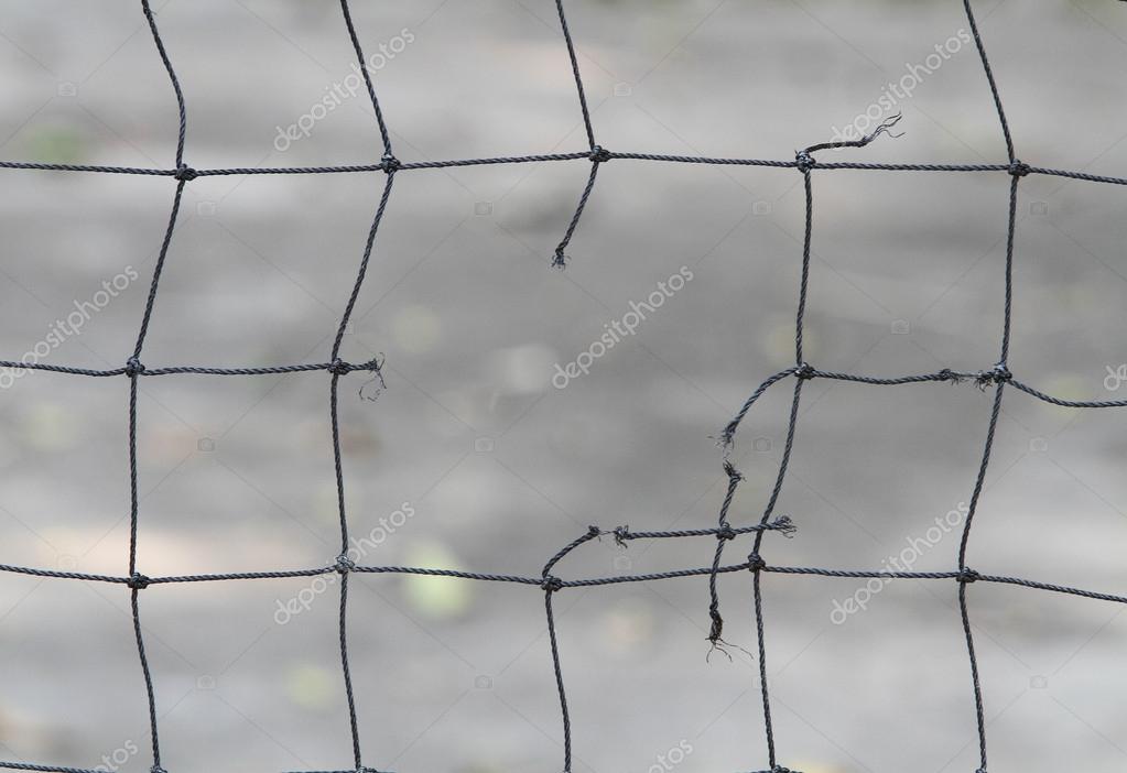 https://st2.depositphotos.com/1032277/5775/i/950/depositphotos_57755641-stock-photo-close-up-view-of-a.jpg