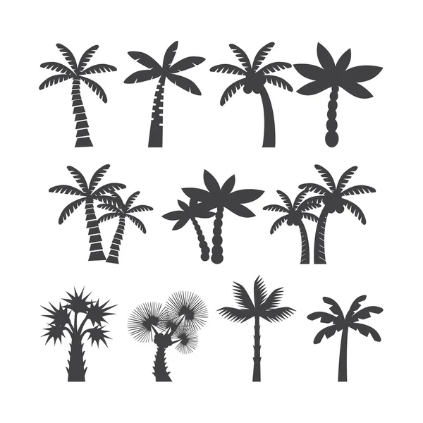 Palmiye ağacı simge seti, eps10 vektör — Stok Vektör