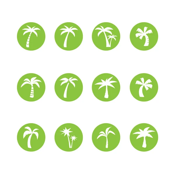 Coconut tree circle icon set, vector eps10 — Stock Vector