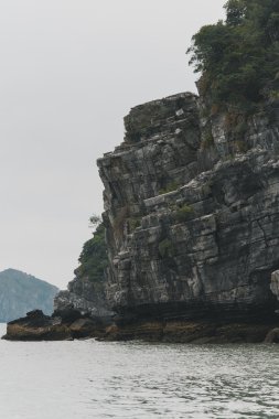 vietnam'ın güzel doğası 