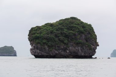 vietnam'ın güzel doğası 