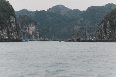 vietnam'ın güzel doğası 