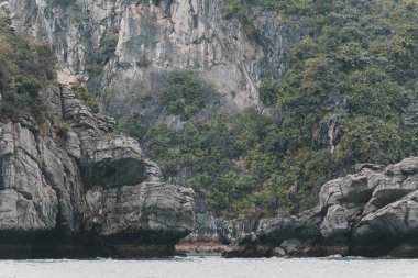 vietnam'ın güzel doğası 