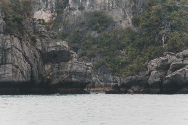 vietnam'ın güzel doğası 