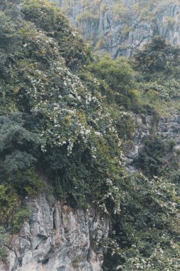 Güzel sahne Vietnam dağlar