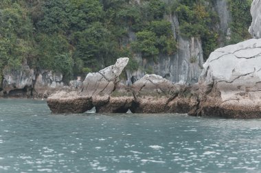 vietnam'ın güzel doğası 